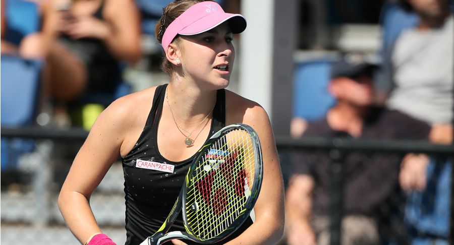 等到远古龙 等到远古龙