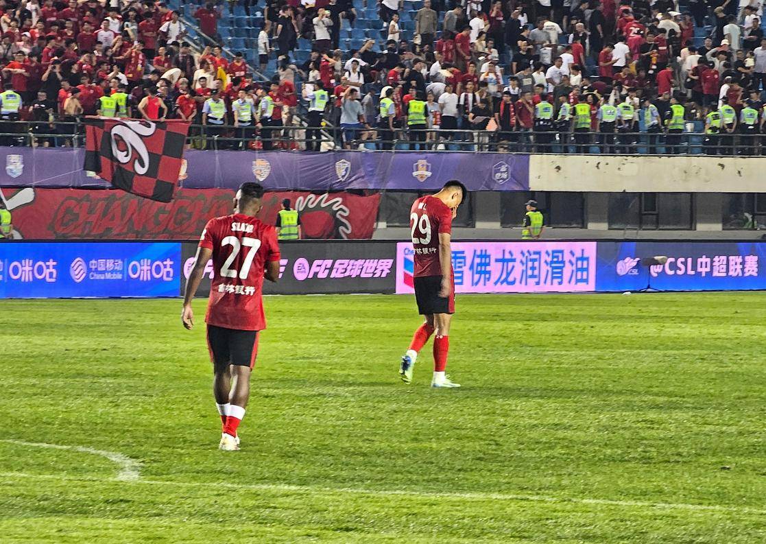 体表现
